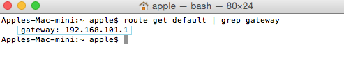 Mac OSX Terminal - Network Default Gateway