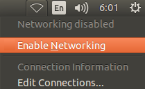 linux-enable-networking