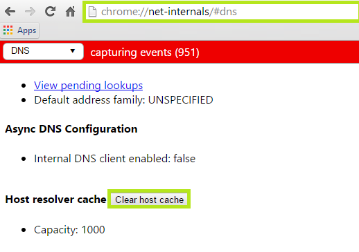 Clearing Google Chrome Internal host cache
