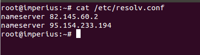 Linux terminal confirm dns