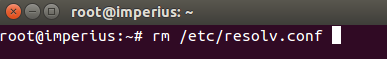 linux terminal remove dns