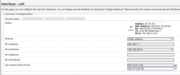 Enter the DNS settings into the custom DNS server field