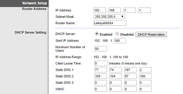 Setting up the DNS in the Linksys router 