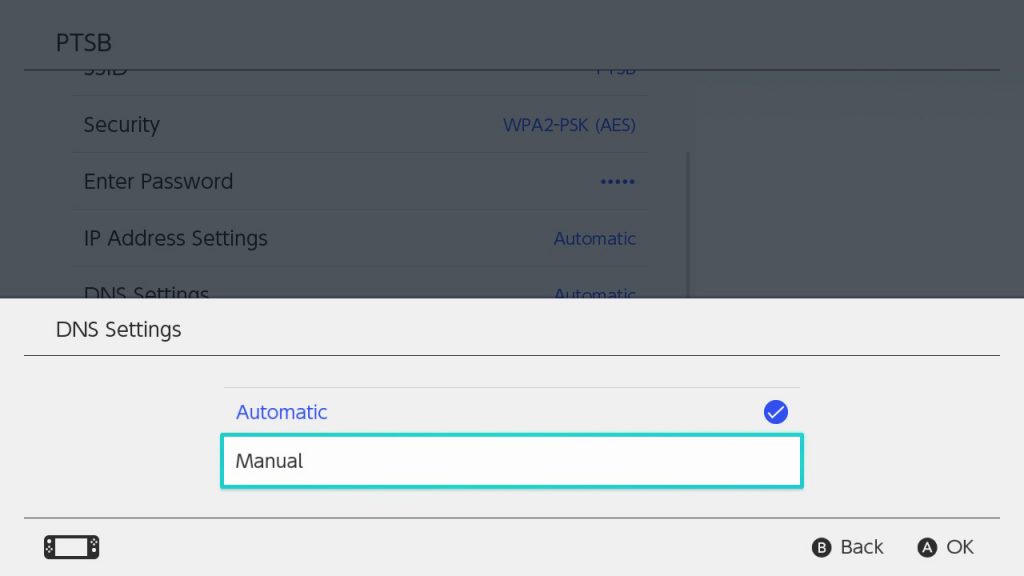 Switch DNS Manual