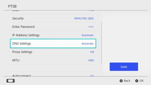 Switch DNS Settings
